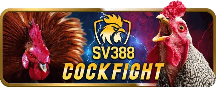 Trò chơi Live Casino tại n666